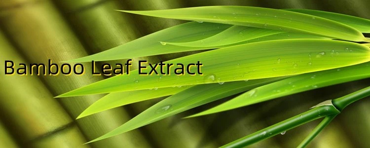 Bamboo Leaf Extract Powder.png